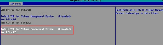 Intel Virtual RAID开关10